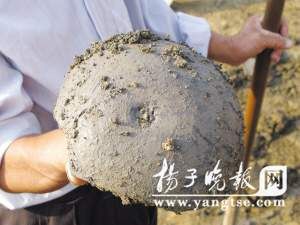 南京首次发现宋代酒库遗址(组图)
