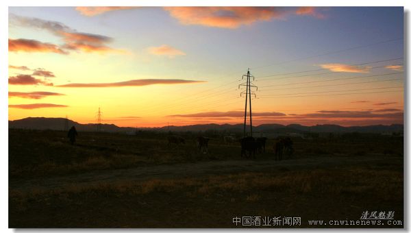 点击放大