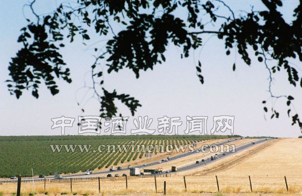 点击放大