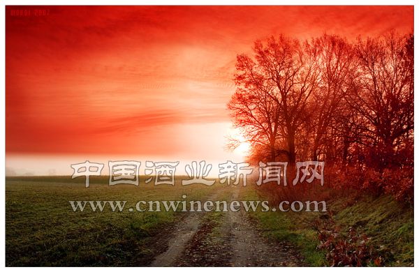 点击放大
