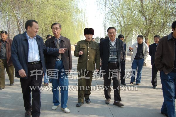 点击放大