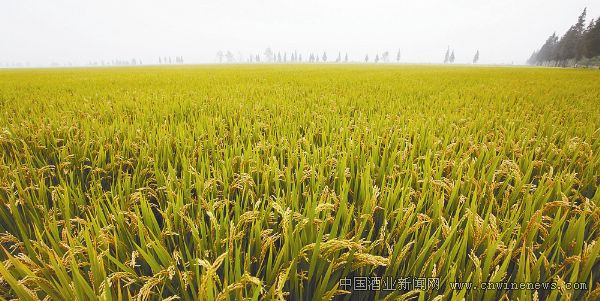 点击放大
