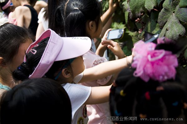 点击放大