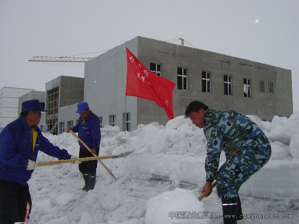 点击放大