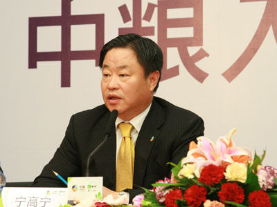 宁高宁