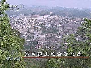 贵州茅台镇暂停打造白酒一条街 副镇长被停职