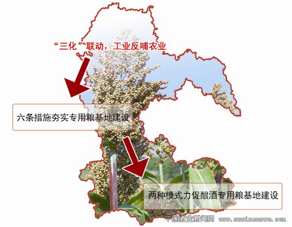 点击放大