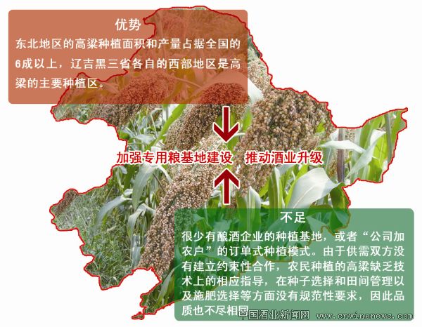 点击放大