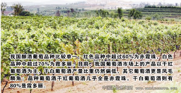 点击放大