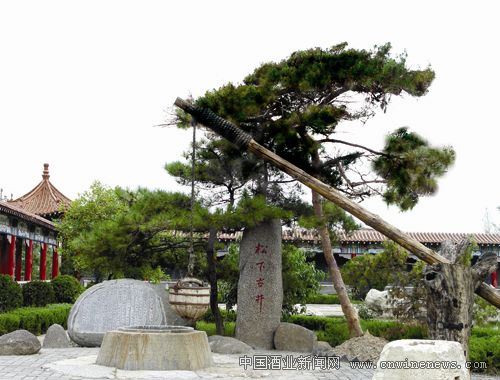 点击放大