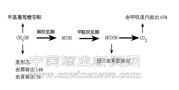点击放大