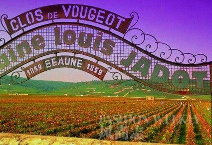 路易亚都 Louis Jadot