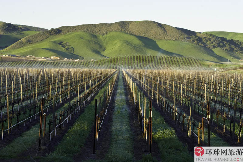 1.圣巴巴拉：洛斯阿拉莫斯葡萄园(Los Alamos Vineyards )