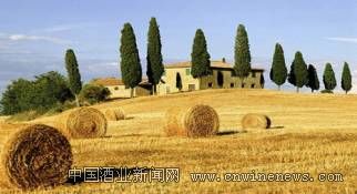 点击放大