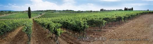 点击放大