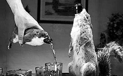 动物尸体当啤酒瓶(图)