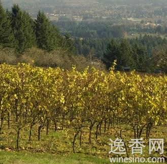威拉麦狄谷